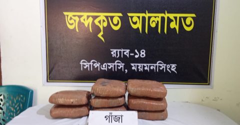 ত্রিশালে র‍্যাব-১৪ এর অভিযানে ২০ কেজি গাঁজাসহ মাদক কারবারি গ্রেফতার