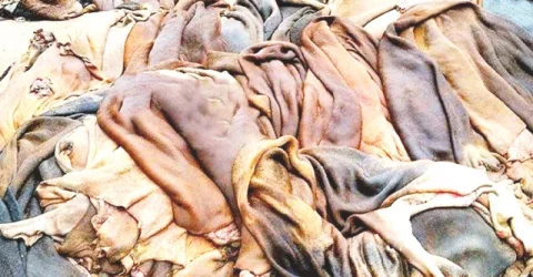 সরকার কর্তৃক নির্ধারিত দামের অর্ধেকে বিক্রি হচ্ছে চামড়া