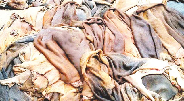 সরকার কর্তৃক নির্ধারিত দামের অর্ধেকে বিক্রি হচ্ছে চামড়া