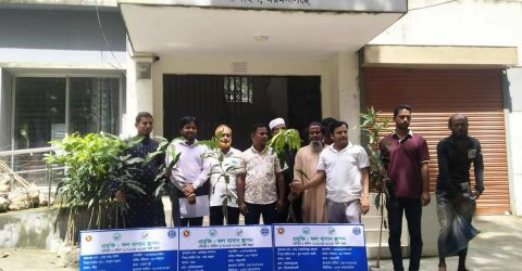 নান্দাইলে ২০ জন কৃষককে ৫০ টি করে ফল গাছের চারা বিতরণ।