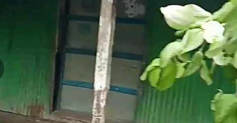 নান্দাইলের নিজবানাইল গ্রামে ভূমি দস্যু ও সন্ত্রাসীদের তাণ্ডব: বাড়ি ছাড়া নিরীহ পরিবার..