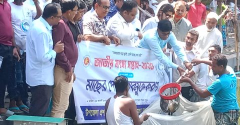 ত্রিশালে জাতীয় মৎস্য সপ্তাহের উদ্বোধন 