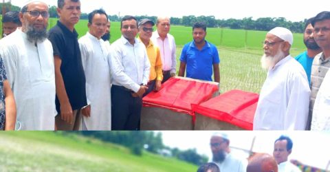 নান্দাইলে পৌর কবরস্থান, রাস্তা নির্মাণকাজ ও বৃক্ষরোপণ কর্মসূচির উদ্বোধন। 