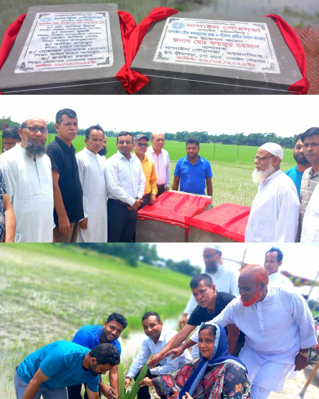 নান্দাইলে পৌর কবরস্থান, রাস্তা নির্মাণকাজ ও বৃক্ষরোপণ কর্মসূচির উদ্বোধন। 