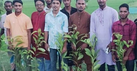স্বপ্নময় ফাউন্ডেশন কর্তৃক আয়োজিত বৃক্ষরোপণ ও ফলজ গাছ বিতরণ। 