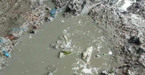 নান্দাইলে বগরি কান্দা জয়রামপুর হরিপুর কাঁচা রাস্তা 30 বছরেও লাগেনি উন্নয়নের ছোঁয়া।জনদুর্ভোগ চরমে ।