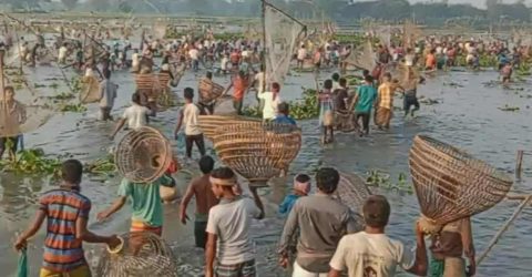 নান্দাইলের ঐতিহ্যবাহী বলদা বিলে হাইতি উৎসবঃ হাজারো মানুষের মিলনমেলা। 