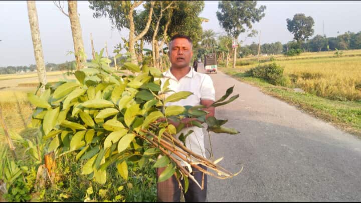 নান্দাইলে পূর্ব শত্রুতার জেরে অসংখ্য গাছ কেটে ফেলেছে। মারধর প্রাণ নাশের হুমকি। থানায় অভিযোগ দায়ের। 