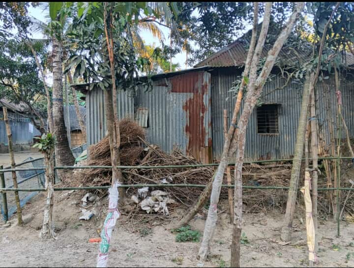 নান্দাইলে প্রতিবেশীকে ফাঁসাতে একের পর এক ফন্দিতে ব্যস্ত ওয়াসিম, শালিসে ছুরিকাঘাতের চেষ্টা। 