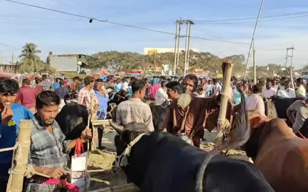 নান্দাইলে বারুইগ্রাম চৌরাস্তা সরকারি গরুর হাট দলীয় প্রভাবে দখলের অভিযোগ- ইজারাদারকে প্রবেশে বাধা