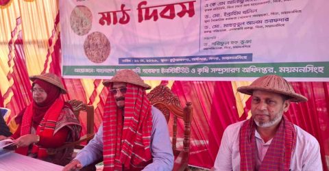 বিনা ধান-২৫ এর প্রচার ও সম্প্রসারণে   ময়মনসিংহে কৃষক প্রশিক্ষণ কর্মশালা ও মাঠ দিবস অনুষ্ঠিত    