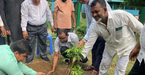 তারেক রহমানের সহধর্মিণী ডা. জুবাইদা রহমানের জন্মবার্ষিকী উপলক্ষে বাদাঘাটে বৃক্ষরোপণ কর্মসূচি উদ্বোধন