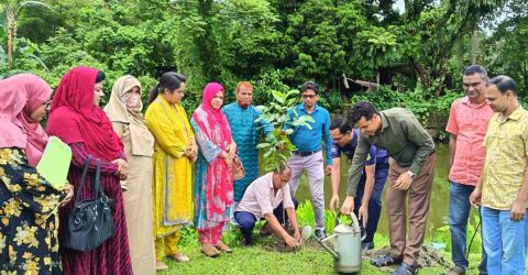 ঈশ্বরগঞ্জ পৌরসভার নিজস্ব অর্থায়নে বৃক্ষরোপণ কর্মসূচি অনুষ্ঠিত