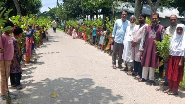 ঈশ্বরগঞ্জে শিক্ষার্থীর মাঝে ফলদ গাছের চারা বিতরণ